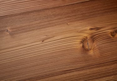 Summit Douglas Fir